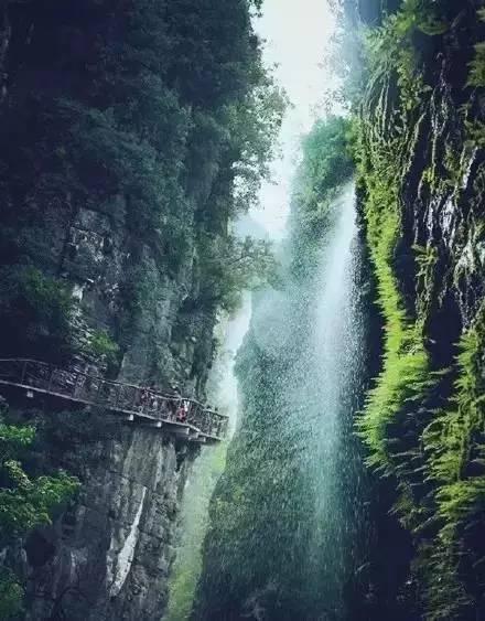 美容师证怎么考?——聪明机智问答,便捷获取答案